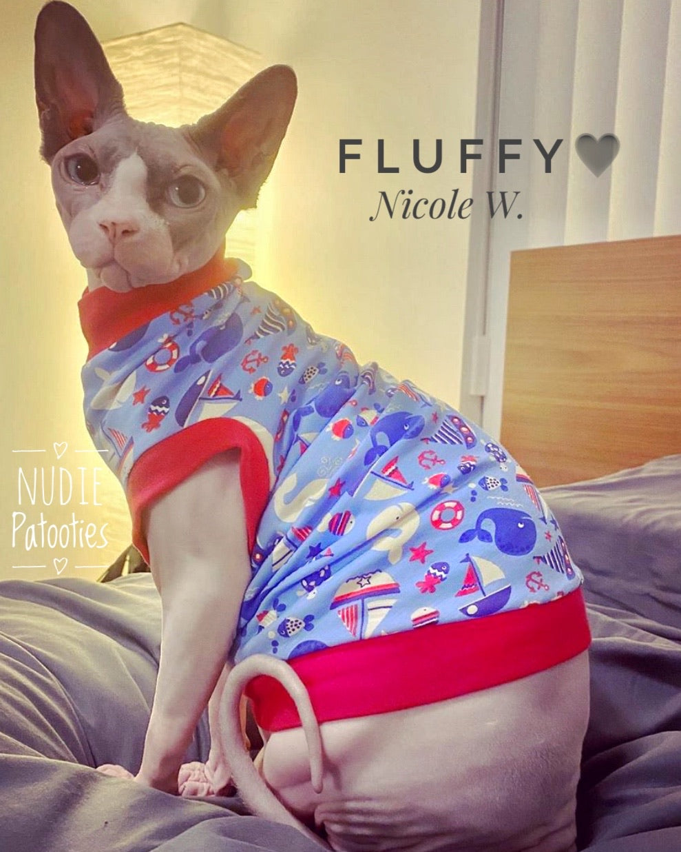 Red white and blue 4th of July sphynx cat shirt.  Sphynx cat clothes
