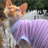 Sphynx clothes.  Pink and blue stripes. Cat Clothes.