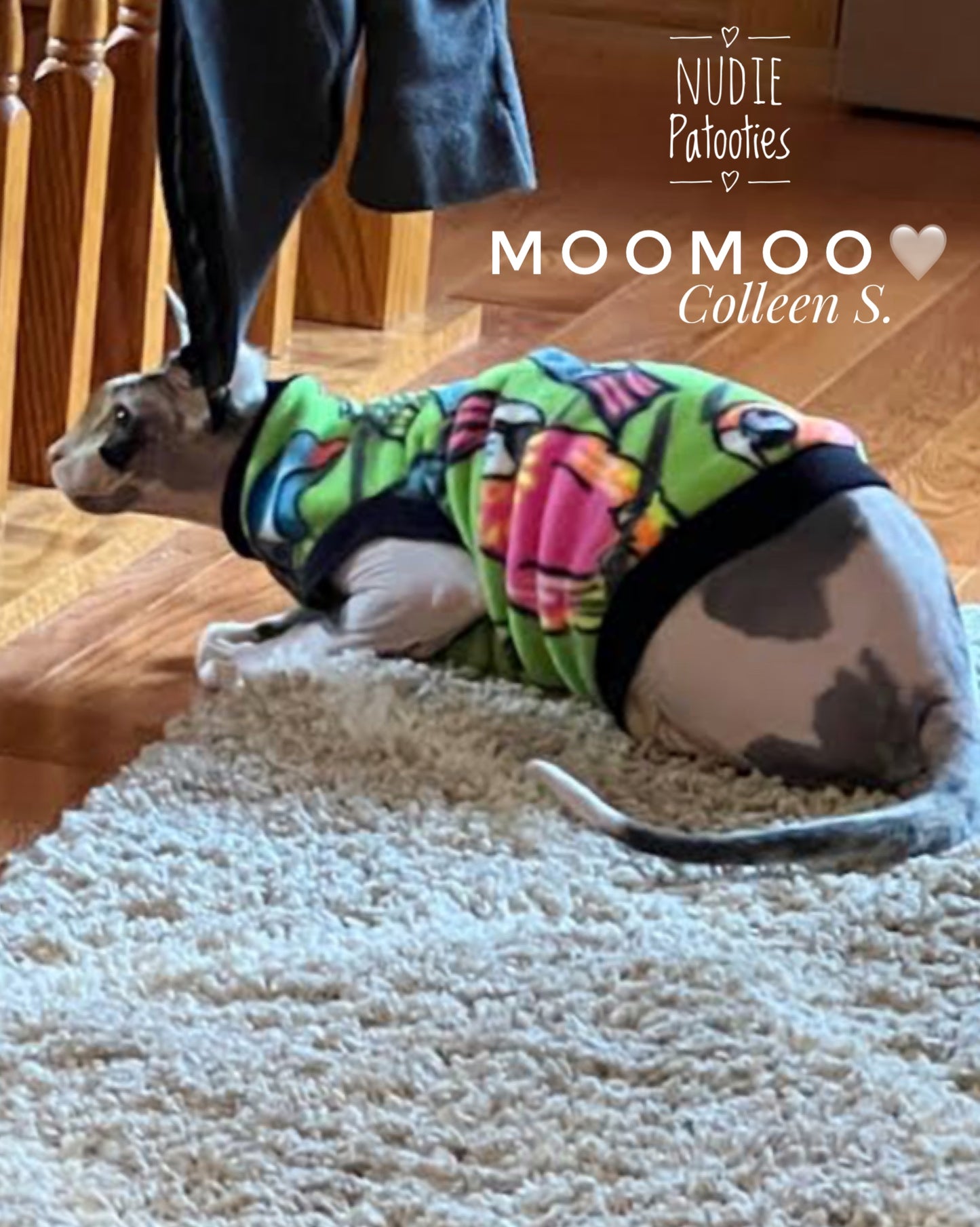 Warm lime green fleece shirt for sphynx cat and kitten.  Sphynx cat clothes. 