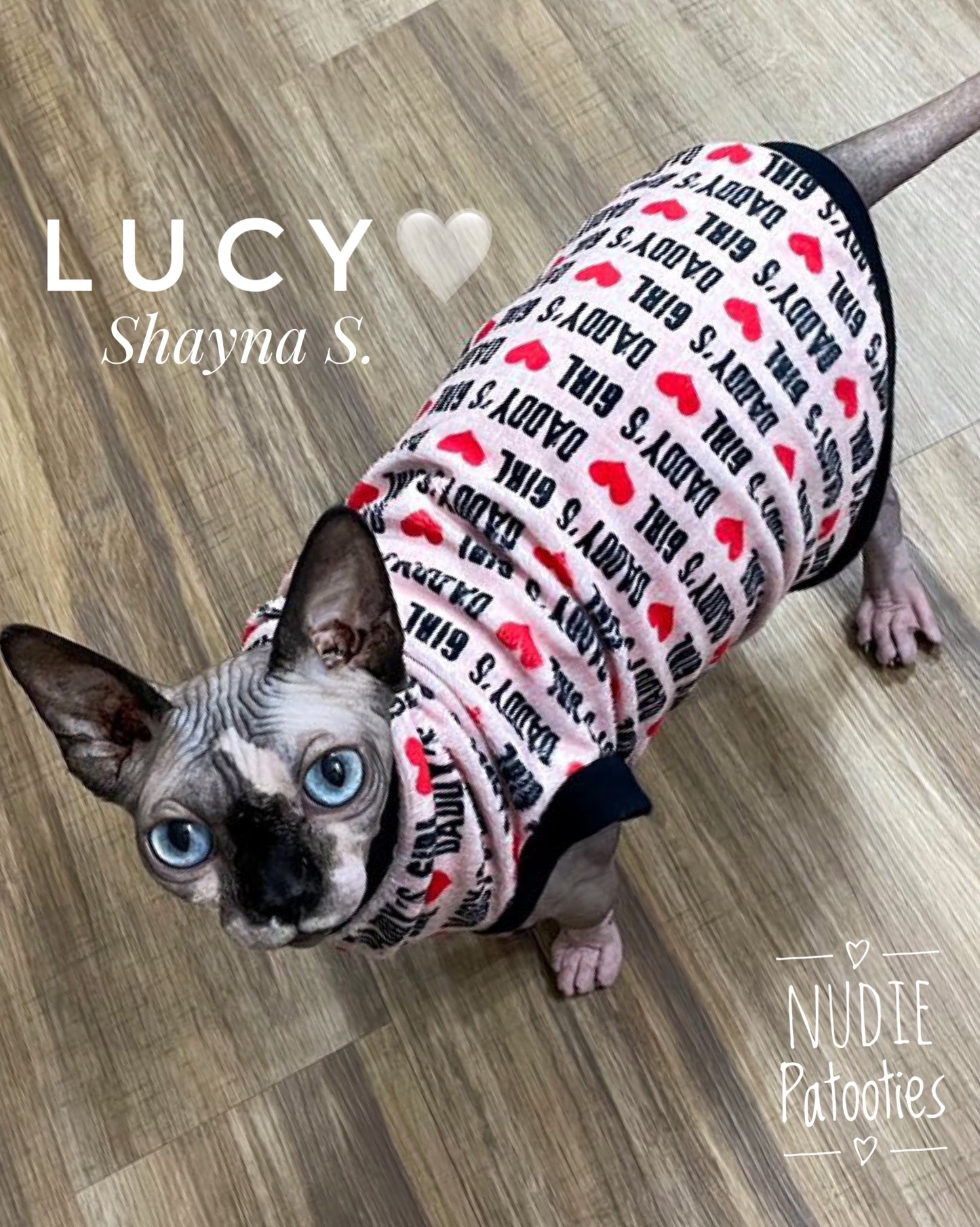 Sphynx cat and kitten shirt.  Sphynx cat clothes. 