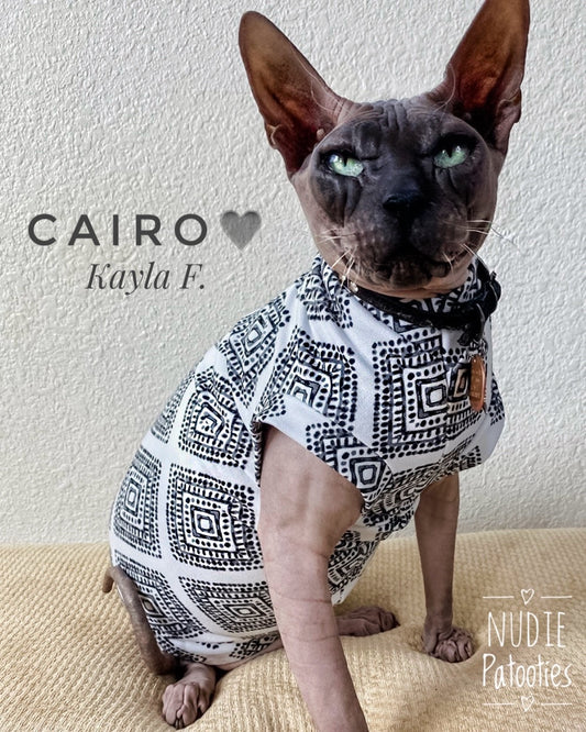 Sphynx cat and kitten shirt.  Sphynx cat clothes
