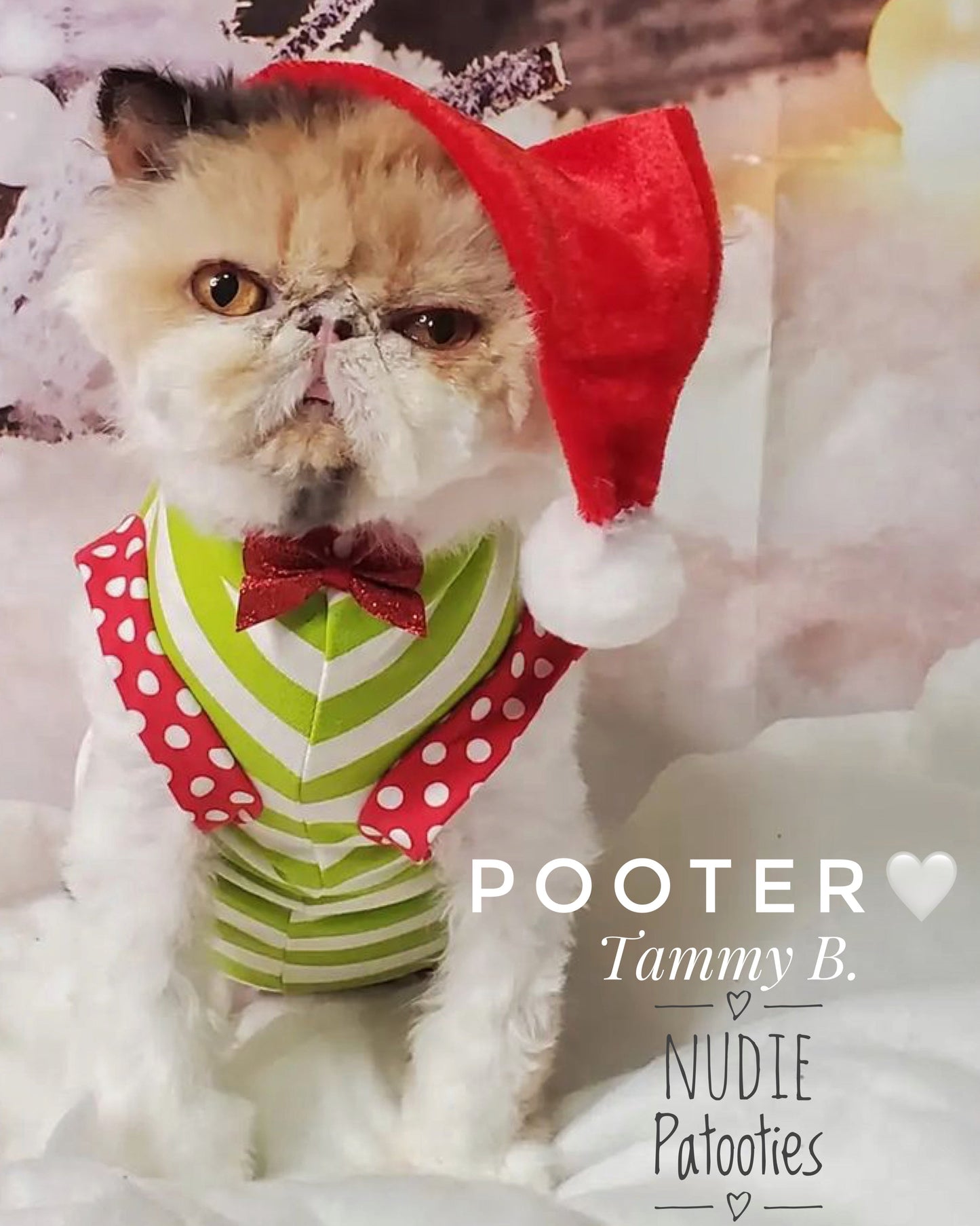 Lime and white stripes with red polka dot trim and cute bow sphynx cat and kitten Christmas shirt.  Sphynx cat clothes 