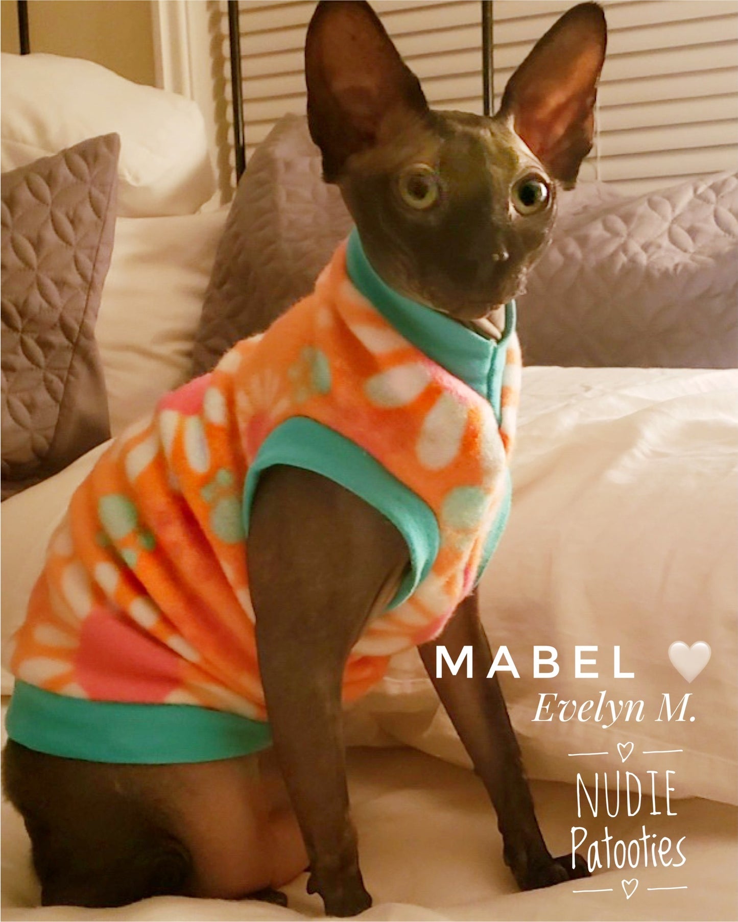 Coral, Hot Pink, Mint, Fleece, "Paw Prints & Daisies"