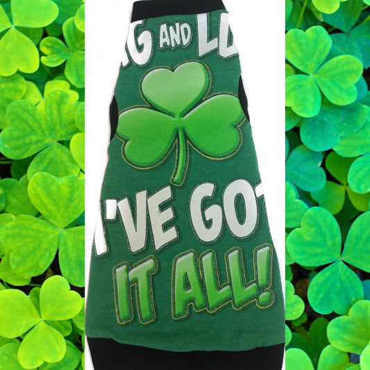 Swag and Luck - I Have it All