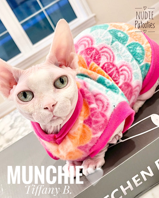 Sphynx cat and kitten shirt.  Sphynx cat clothes.