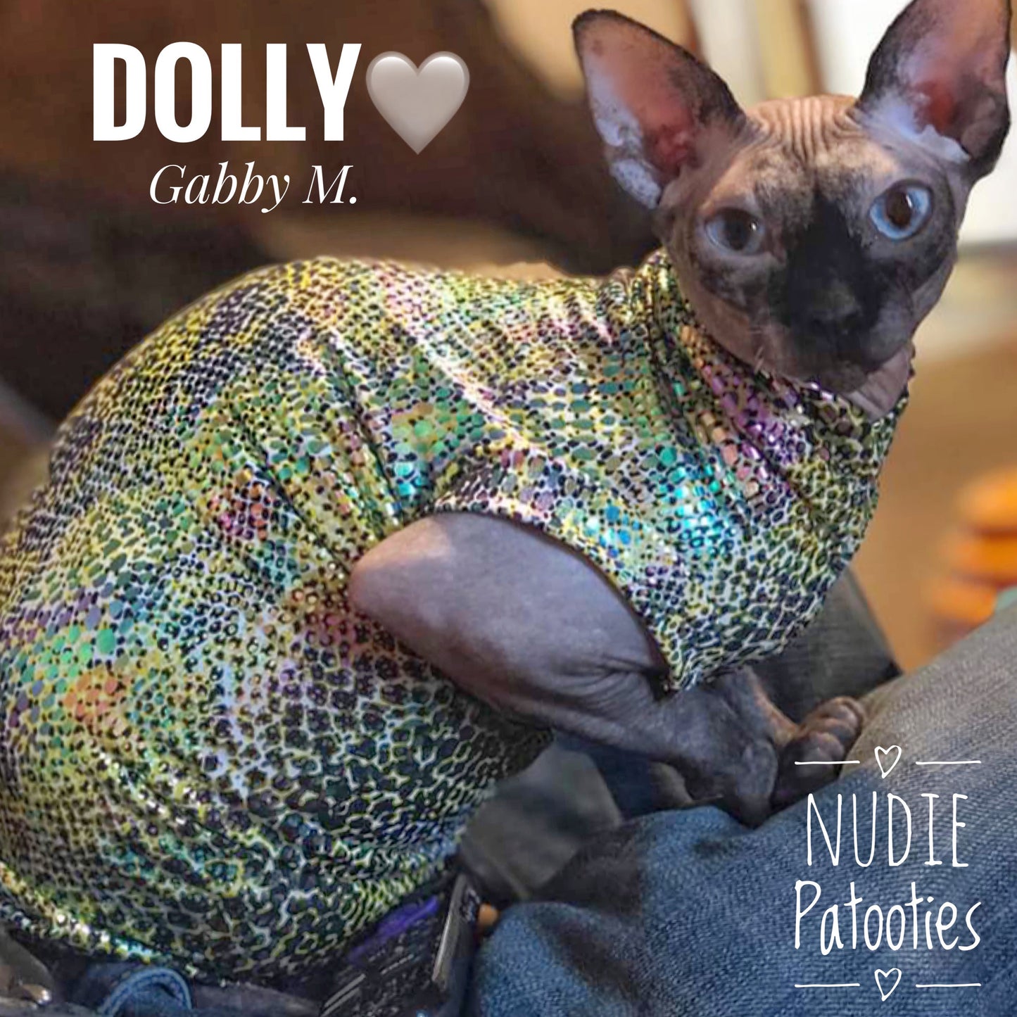 Sphynx cat clothes, shirts and sweaters. 