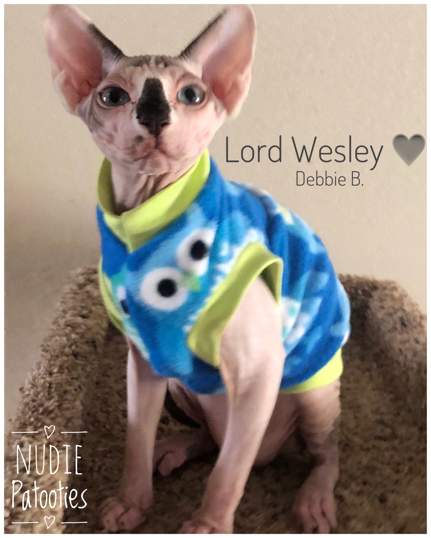 Sphynx cat and kitten warm and soft fleece shirt.  Sphynx cat clothes.