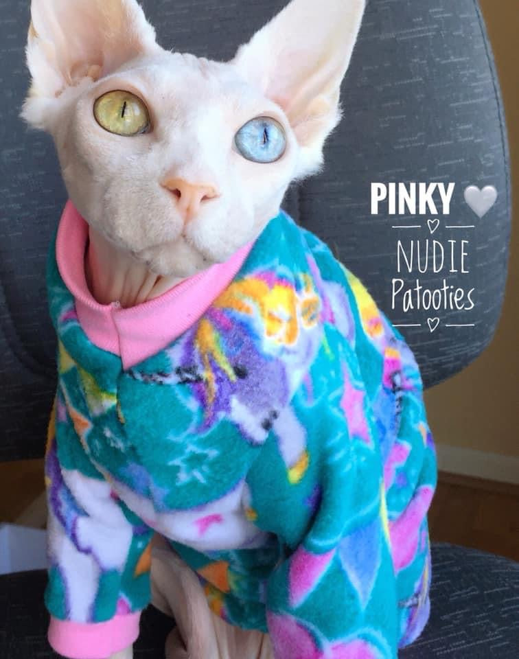 Sphynx cat and kitten warm fleece shirt.  Sphynx cat clothes.