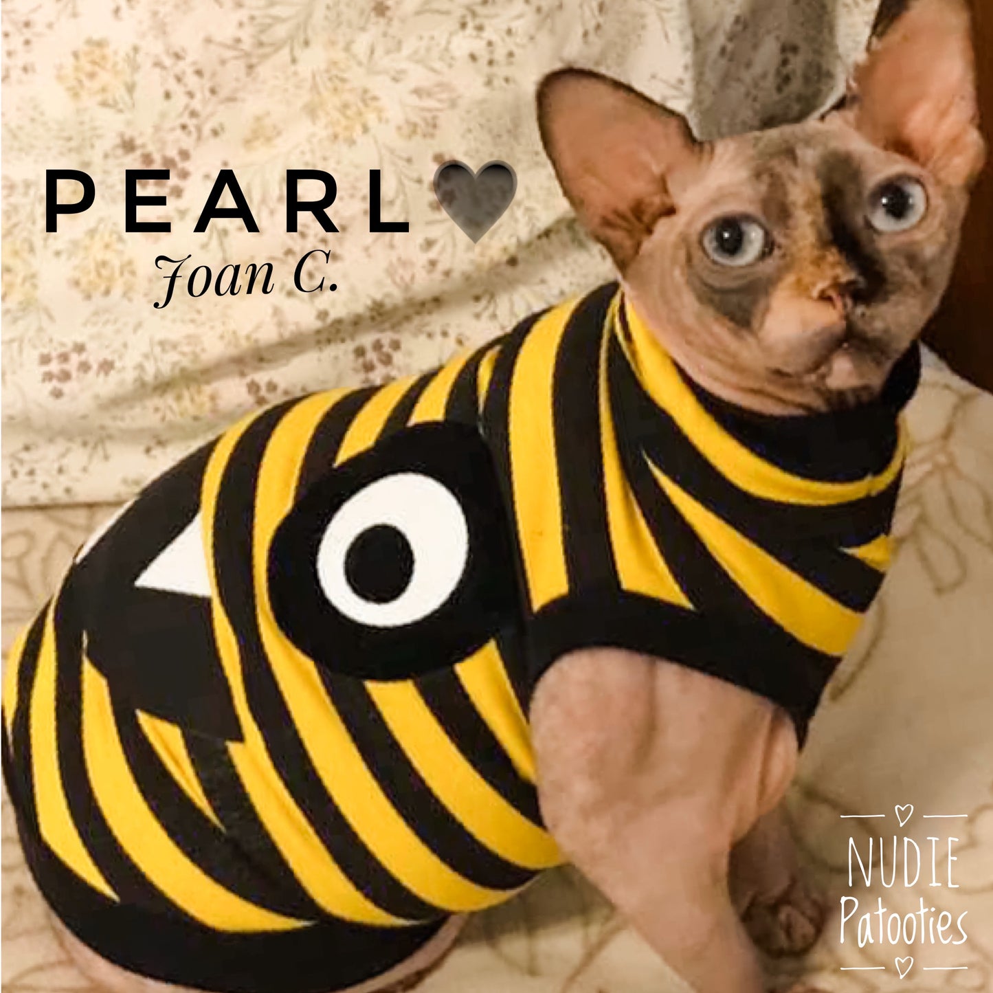 Yellow and Black Stripe "Monster Mash"