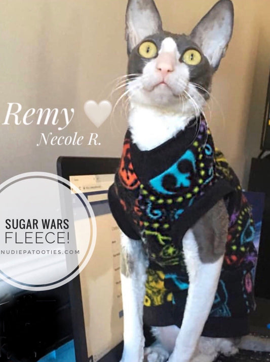 Sugar wars fleece shirt for sphynx cat.  Best sphynx cat clothes