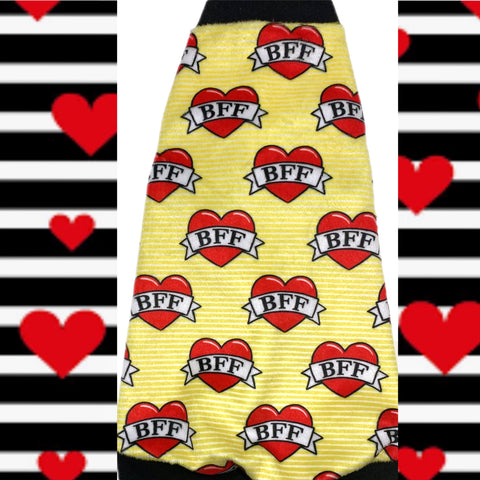 sphynx cat and kitten shirt.  sphynx cat clothes