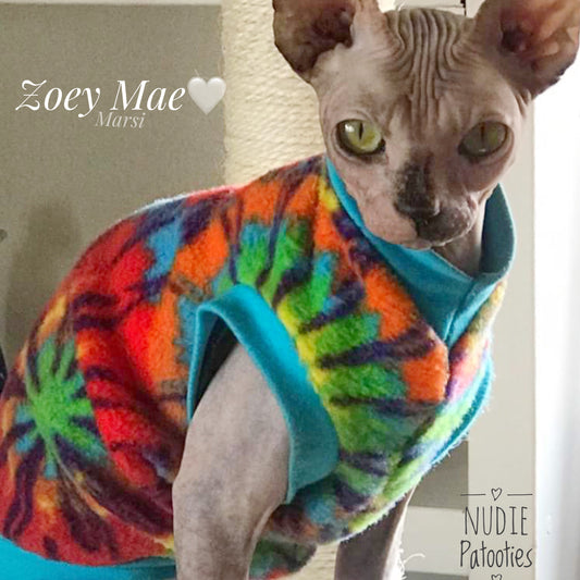 Sphynx cat and kitten shirt. Best sphynx cat and kitten clothes, shirts and swag.  
