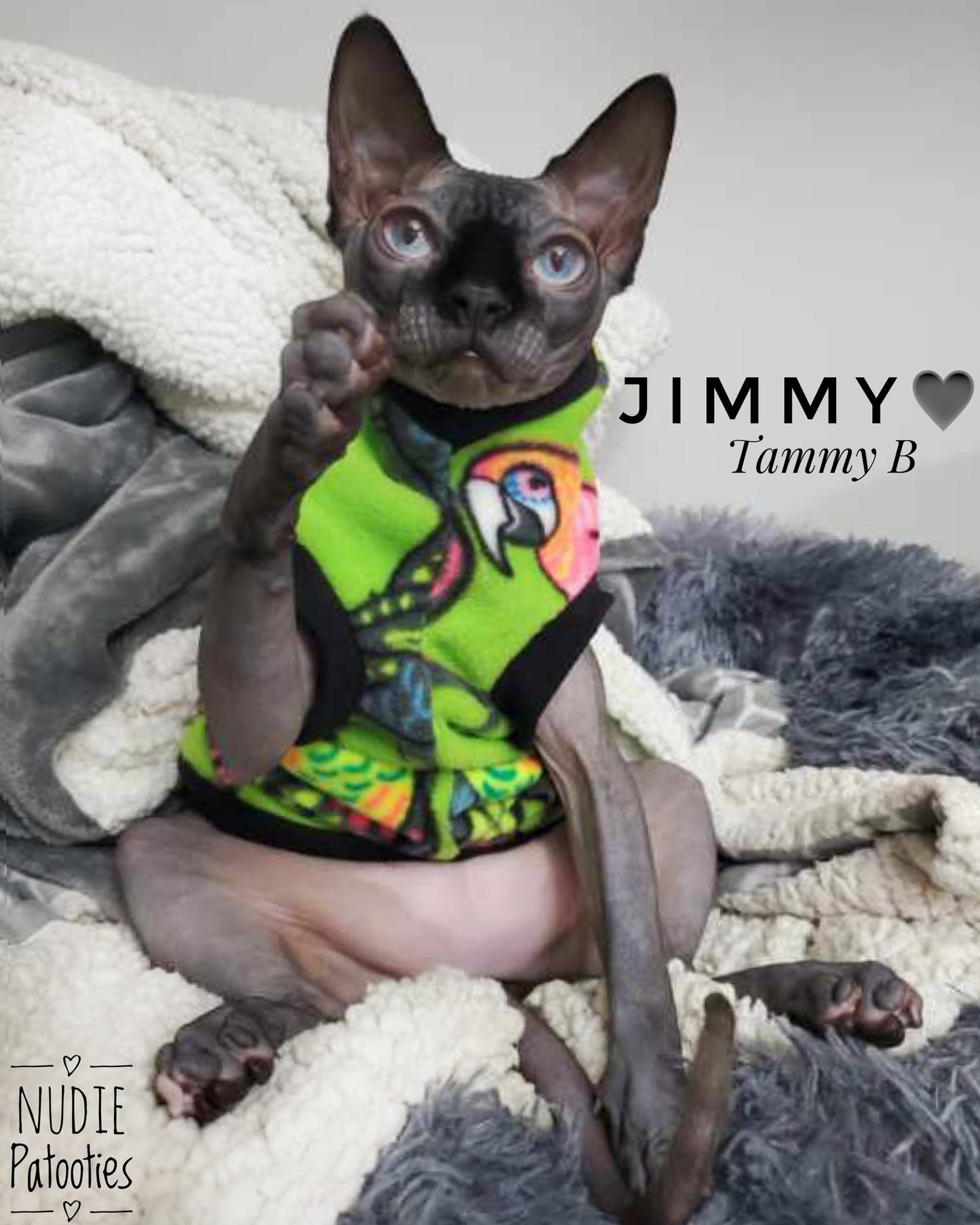 Warm lime green fleece shirt for sphynx cat and kitten.  Sphynx cat clothes. 