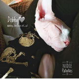 Black Velvet with Metallic Gold Skull - Nudie Patooties  Sphynx cat clothes for your sphynx cat, sphynx kitten, Donskoy, Bambino Cat, cornish rex, peterbald and devon rex cat. 