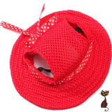 Mesh Hat for Cats - Nudie Patooties