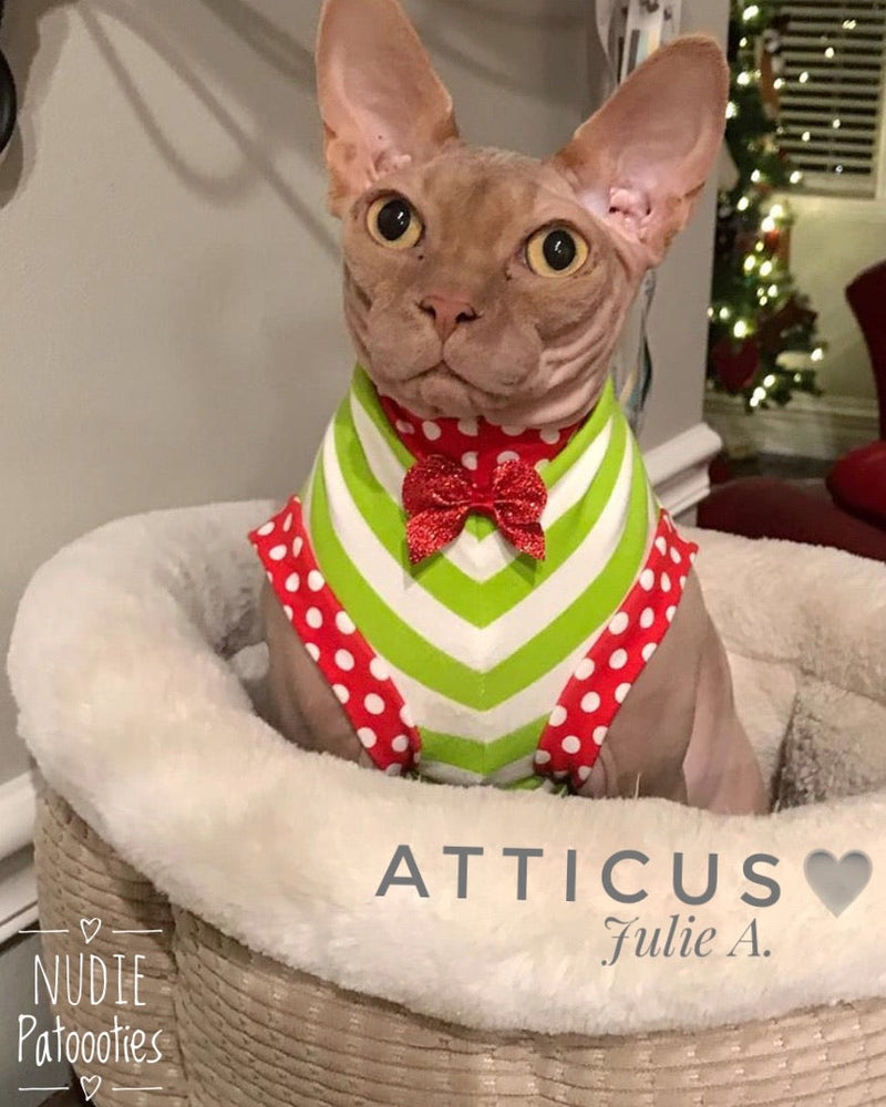 Lime and white stripes with red polka dot trim and cute bow sphynx cat and kitten Christmas shirt.  Sphynx cat clothes 