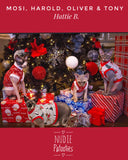 Christmas Reindeer & Penguin Shirt "Winter Wonderland"