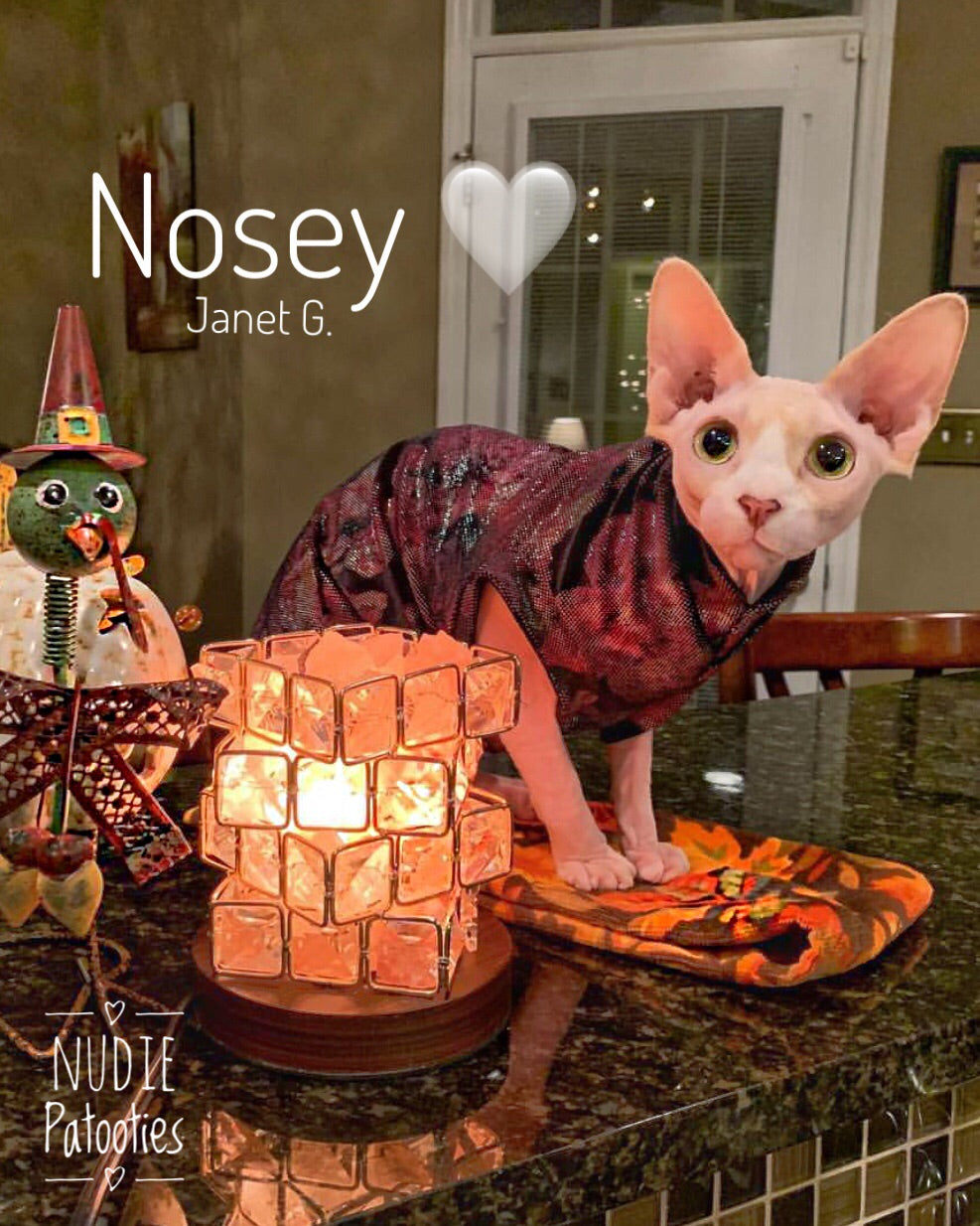 Cat online smoking jacket