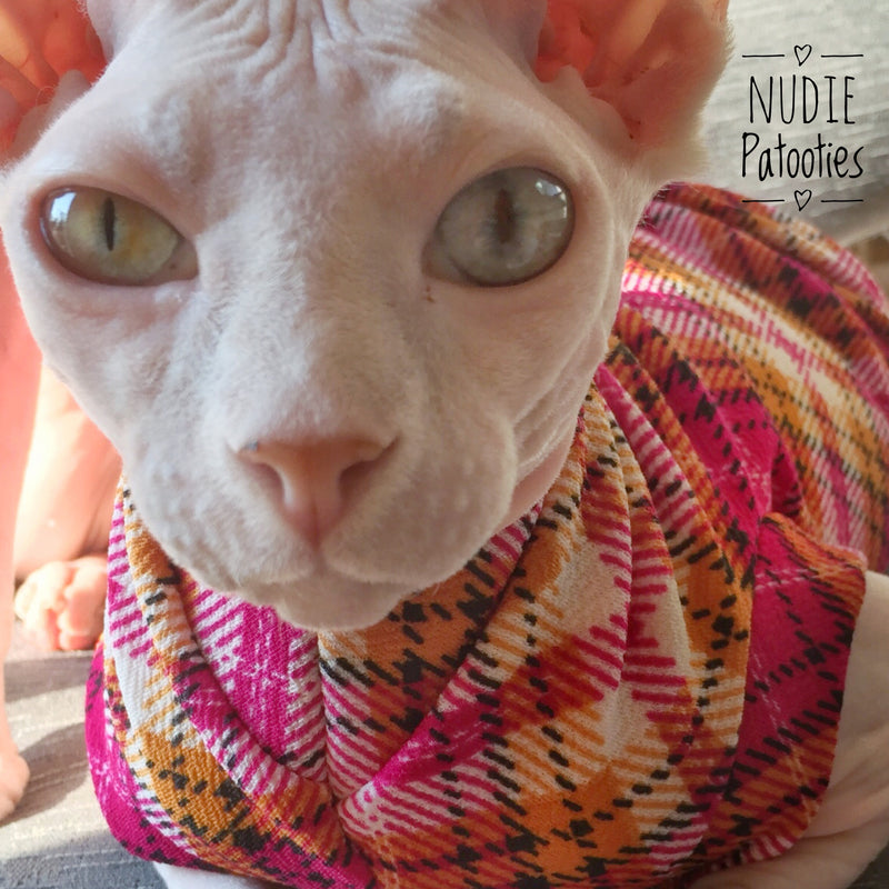 Argyle Plaid - Fuchsia and Mustard - Nudie Patooties  Sphynx cat clothes for your sphynx cat, sphynx kitten, Donskoy, Bambino Cat, cornish rex, peterbald and devon rex cat. 