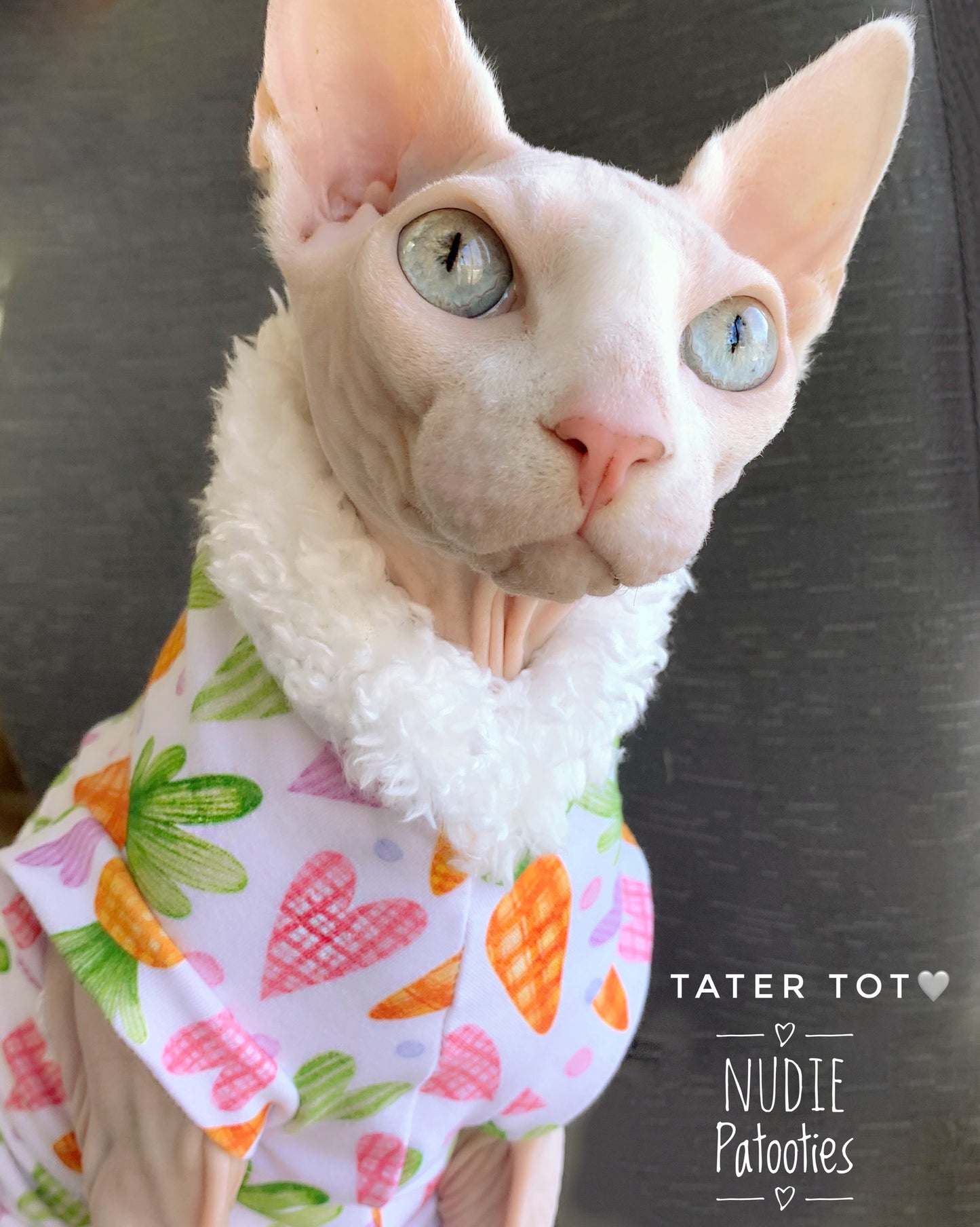 Sphynx cat Easter shirt with carrots, hearts and fur trim.  Sphynx cat clothes