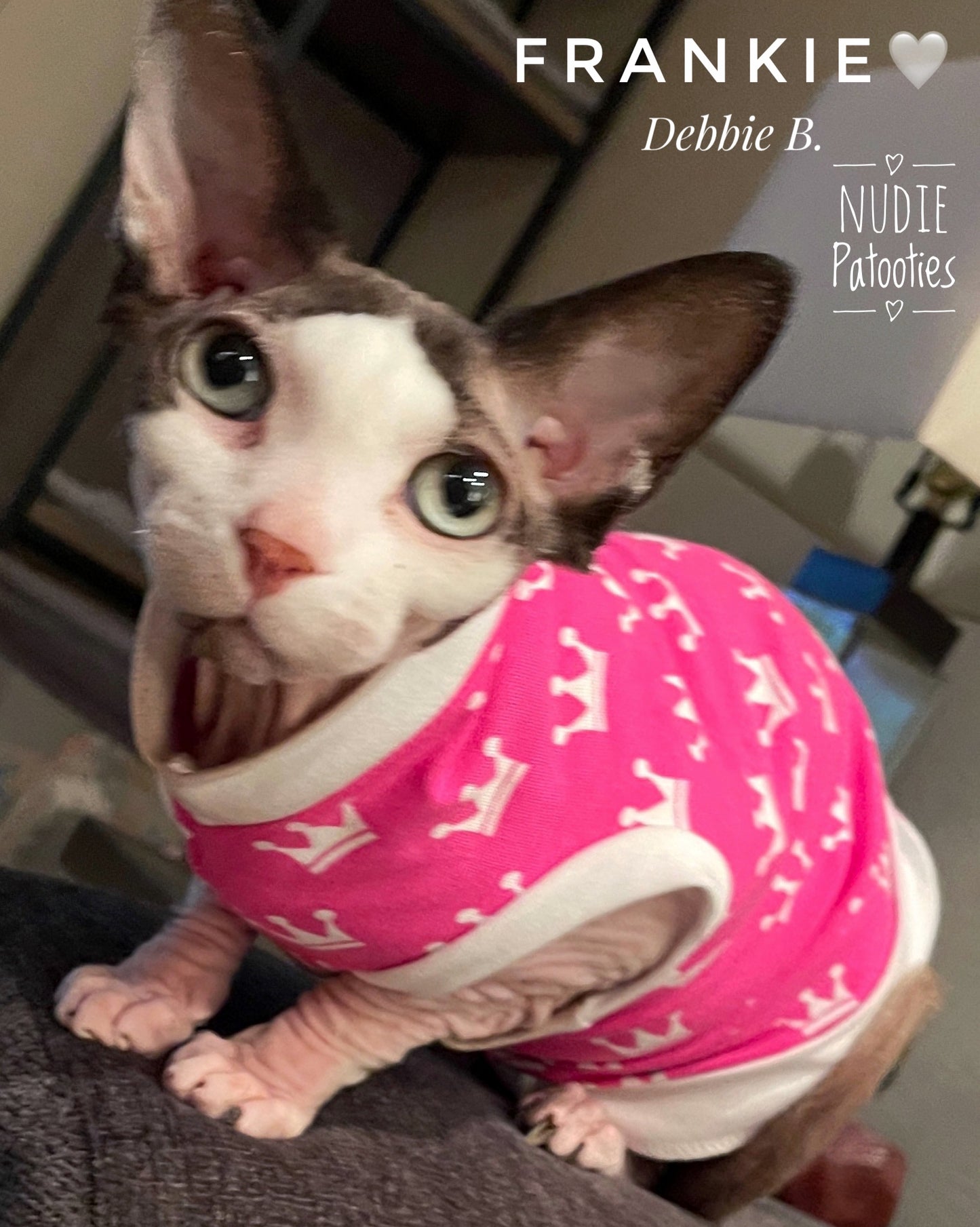 Sphynx cat and kitten pink crown cotton shirt.  Best sphynx cat clothes and swag