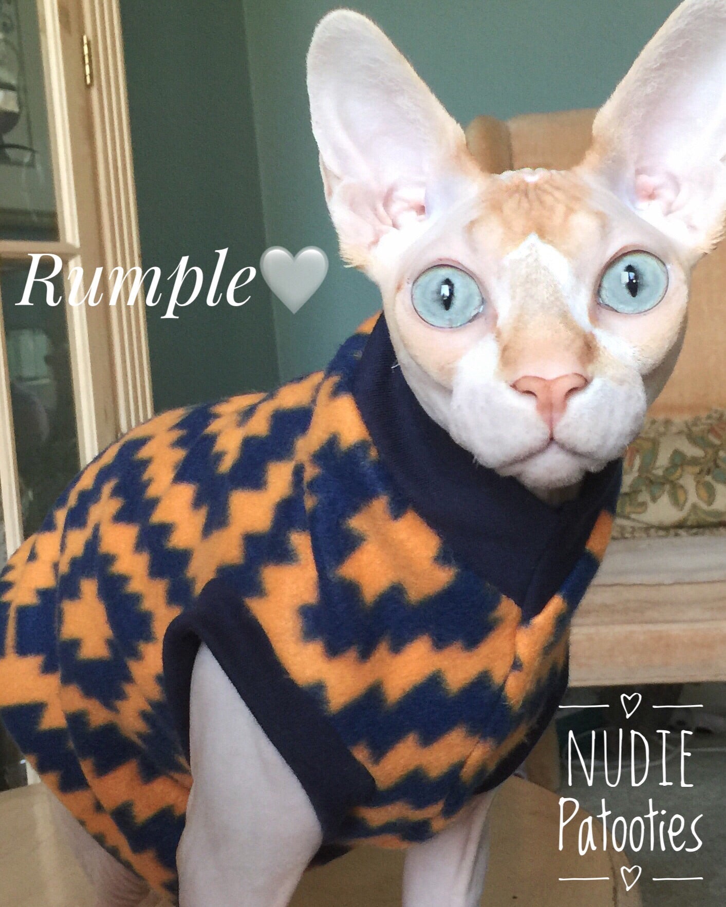 Nudie Patooties Fleece shirt for your sphynx cat, sphynx kitten, Donskoy, Bambino Cat, cornish rex, peterbald and devon rex cat.  Sphynx cat clothes, shirts and sweaters.     