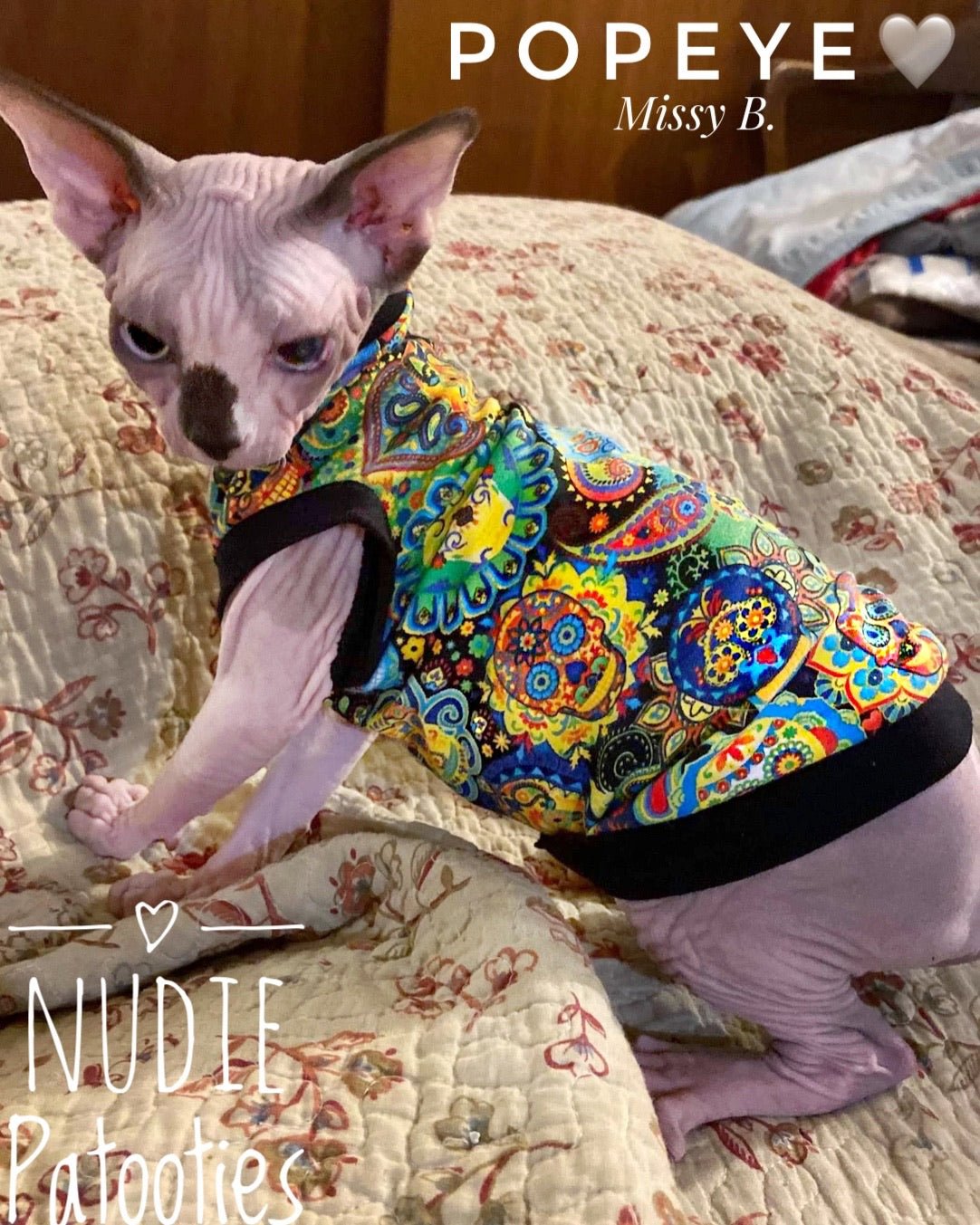 Sphynx cat and kitten shirt.  Sphynx cat clothes.