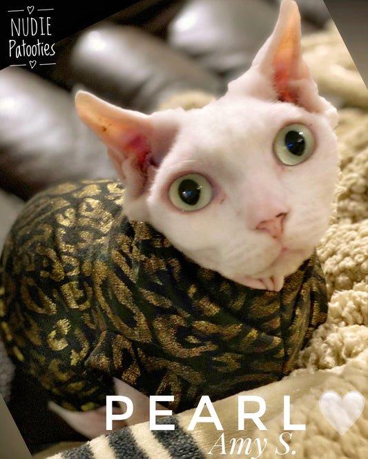 Sphynx cat clothes