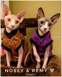 Black Cats & Leopard "Walk on the Wild Side"
