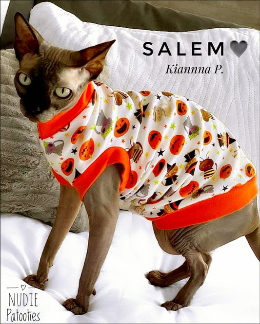 Sphynx cat and kitten shirt.  Sphynx cat clothes. 