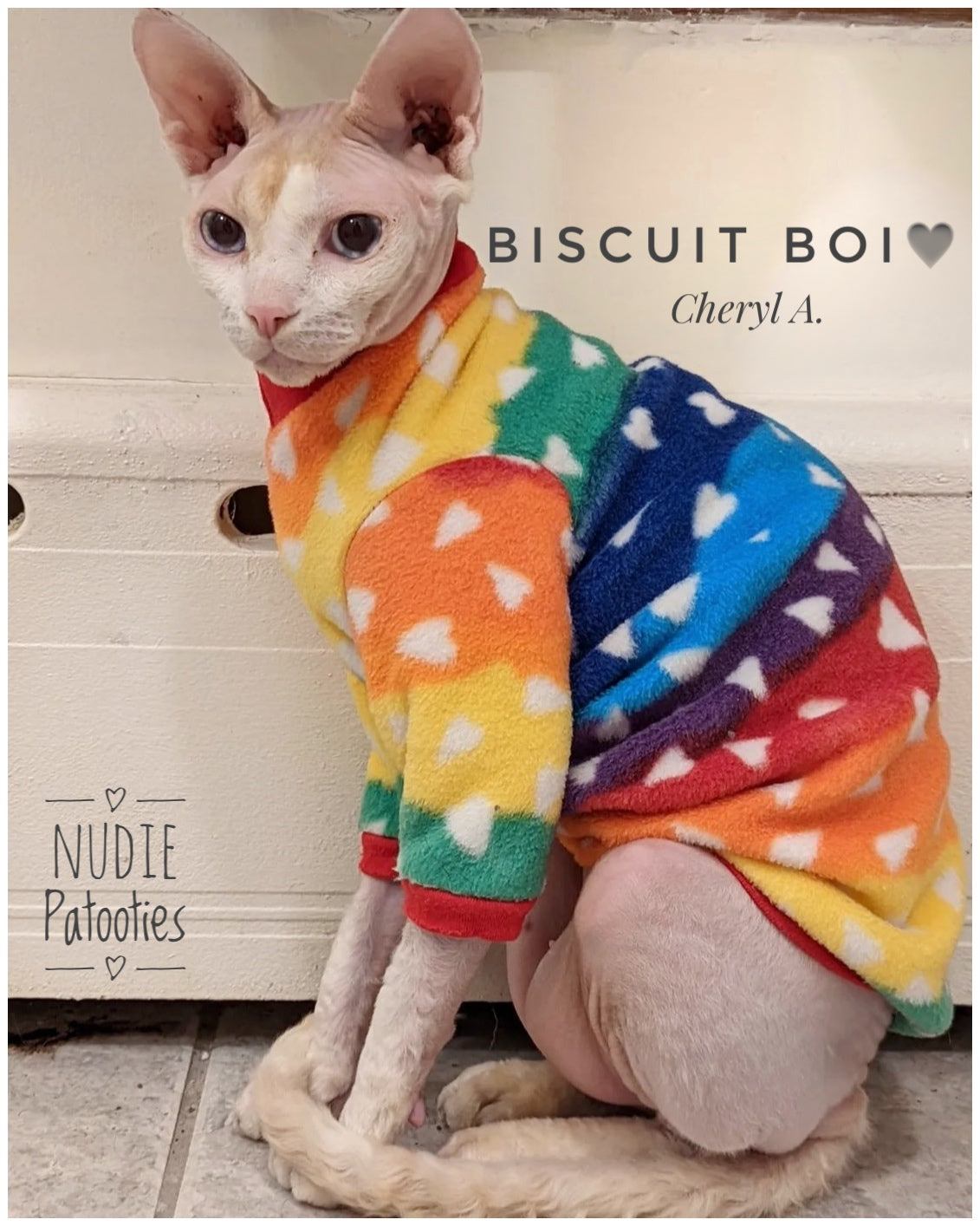 Sphynx cat and kitten fleece shirt.  Sphynx cat clothes