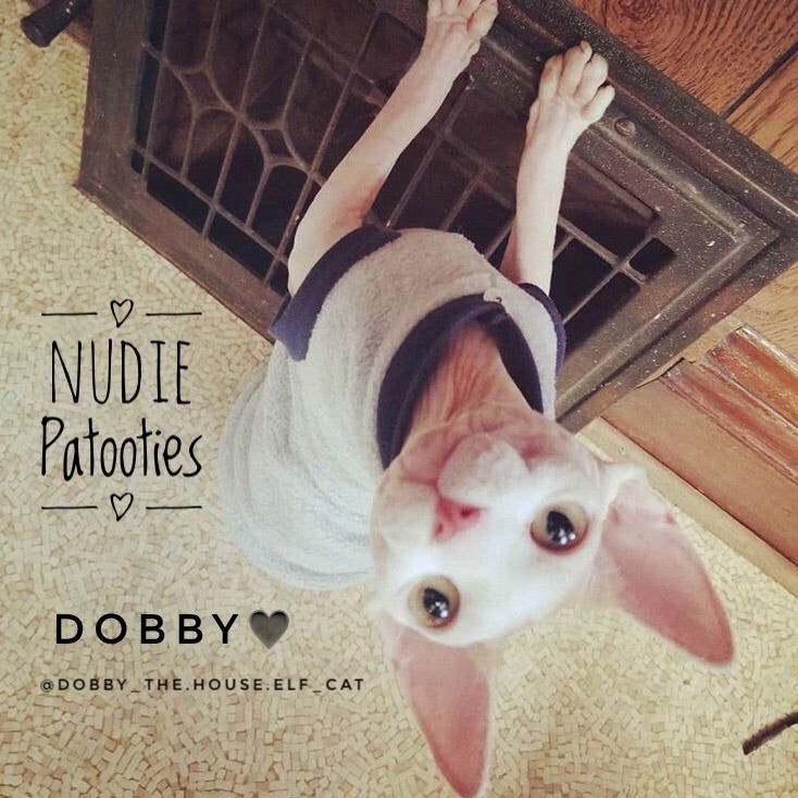 Sphynx Cat Fleece Clothes / clothes for cats/ cat overalls /cat shirt/ cat sweater/ cat sweatshirt/ pet sweater/ Sphynx cat clothes/ Sphynx clothing / cats clothes/ shirt for cat/ cat clothes/ tattoo/ skull/ designer cat clothes/ cat pjs