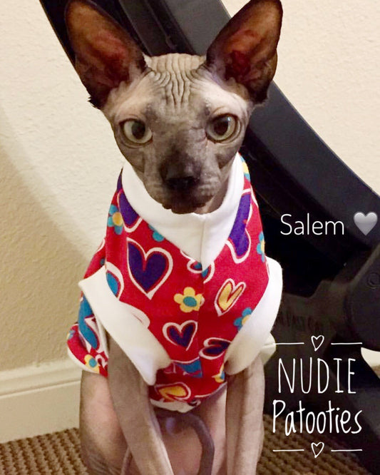 Heart sphynx cat and kitten shirt.  Sphynx cat clothes.