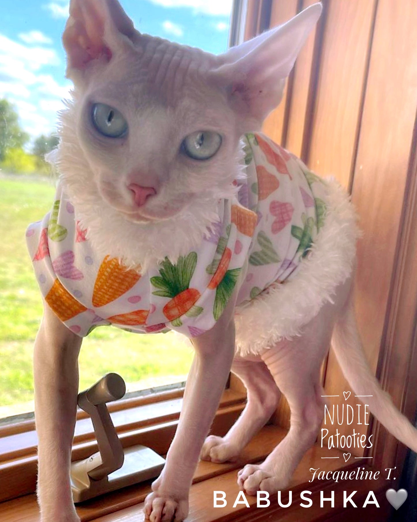Sphynx cat Easter shirt with carrots, hearts and fur trim.  Sphynx cat clothes