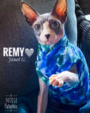 Sphynx cat clothes, shirts and sweaters. 