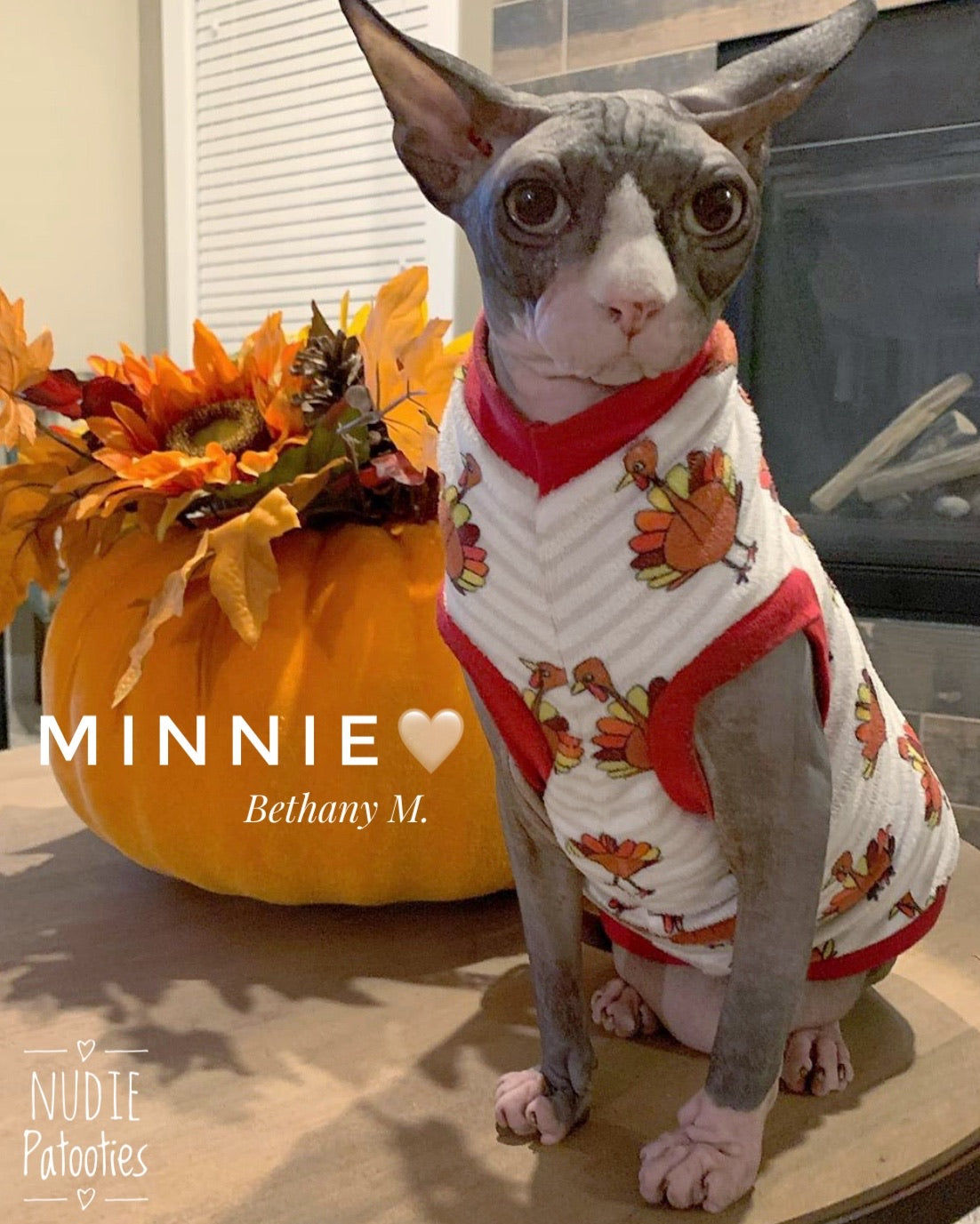 Minky Stripe Thanksgiving Turkeys