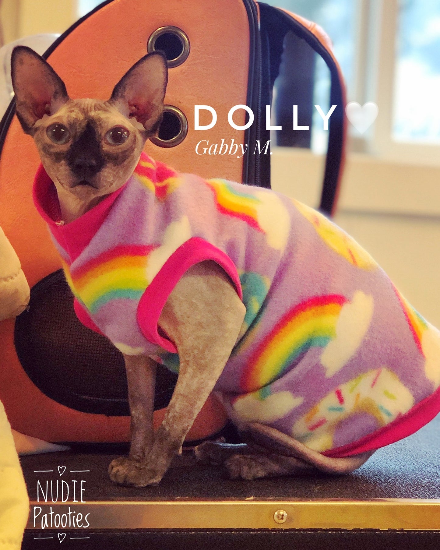Purple Donuts & Rainbow Fleece "Sweet Dreams"