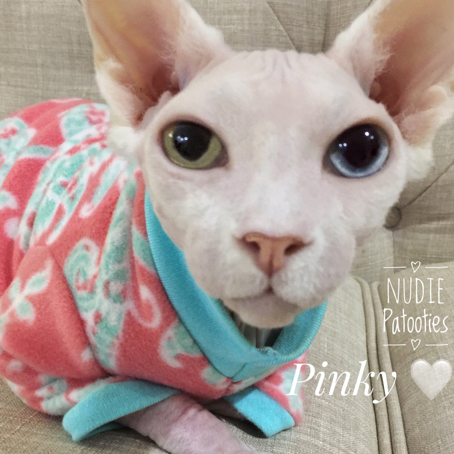 Coral and Mint Fleece "Samantha" - Nudie Patooties  Sphynx cat clothes for your sphynx cat, sphynx kitten, Donskoy, Bambino Cat, cornish rex, peterbald and devon rex cat. 