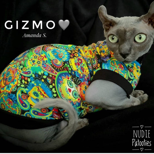 Sphynx cat and kitten shirt.  Sphynx cat clothes.