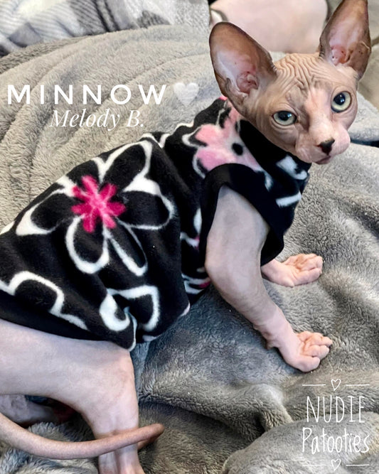 Sphynx cat and kitten shirt.  Sphynx cat clothes. 