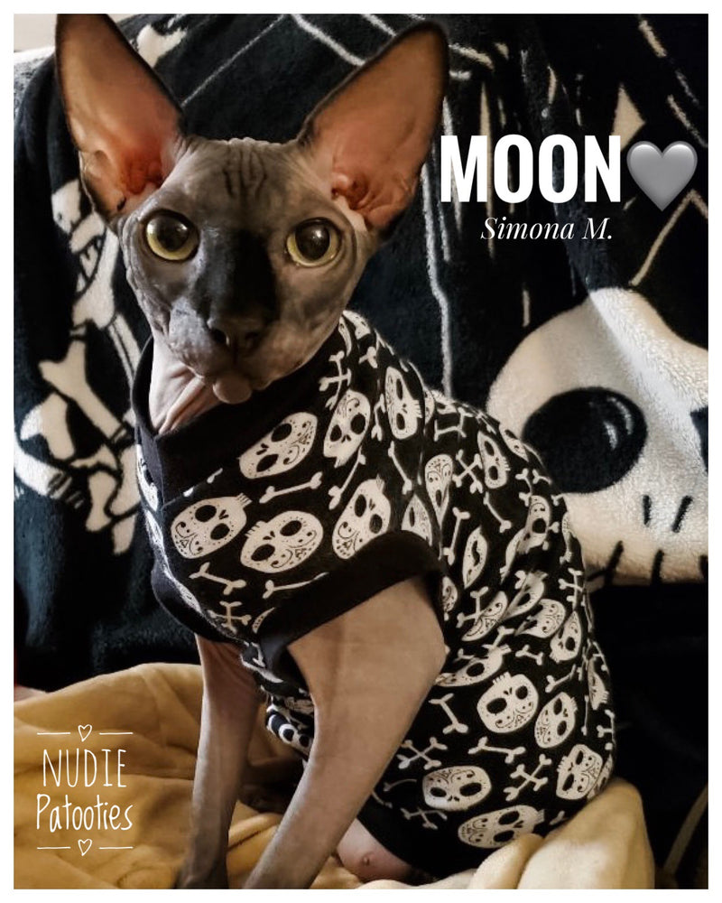 Black and white skull shirt for sphynx cats and kittens.  Sphynx cat clothes