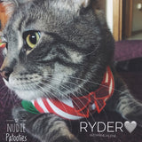 Christmas Red and White Stripe Shirt "Santa's Little Helper" - Nudie Patooties  Sphynx cat clothes for your sphynx cat, sphynx kitten, Donskoy, Bambino Cat, cornish rex, peterbald and devon rex cat. 