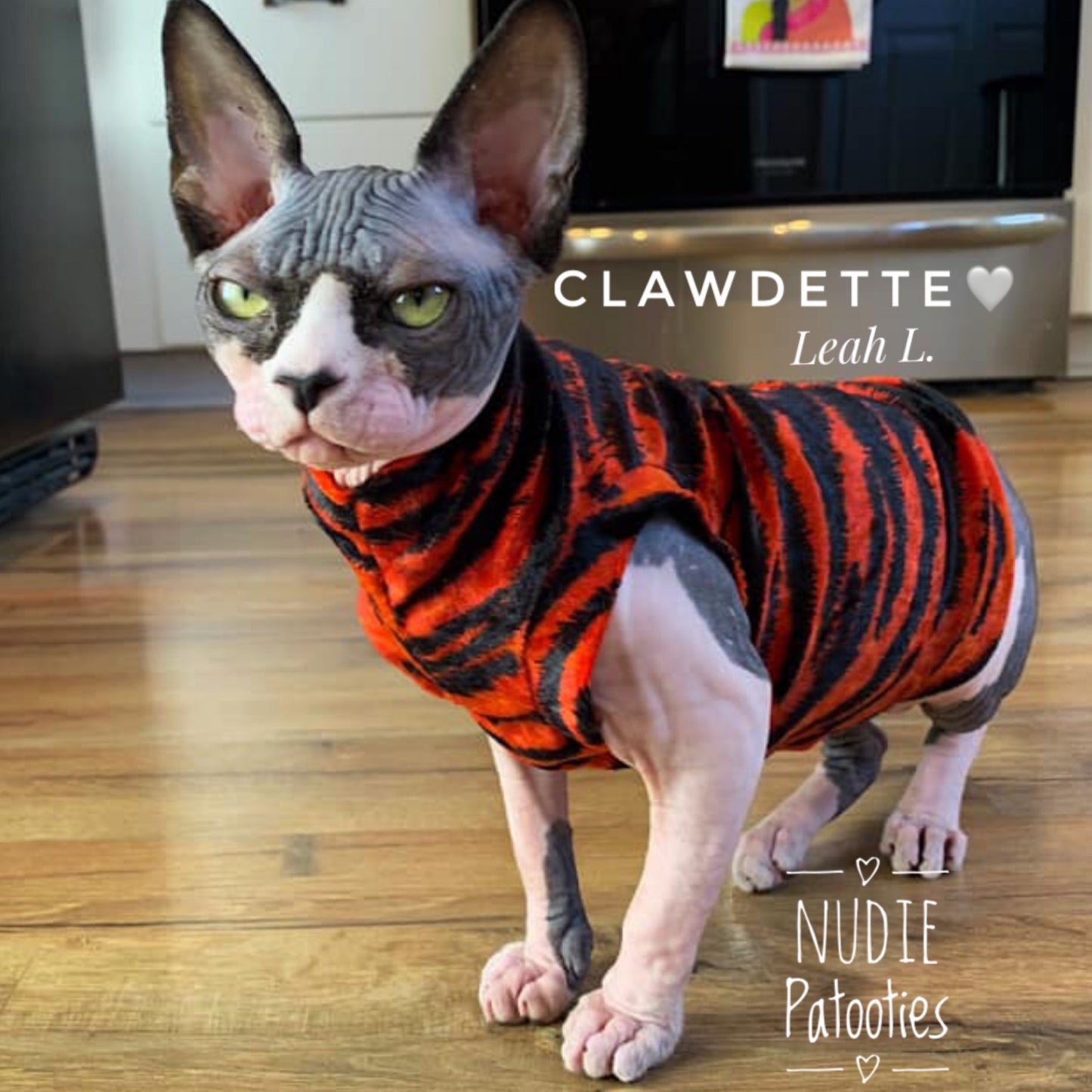 Velvet Fire Orange & Black Zebra