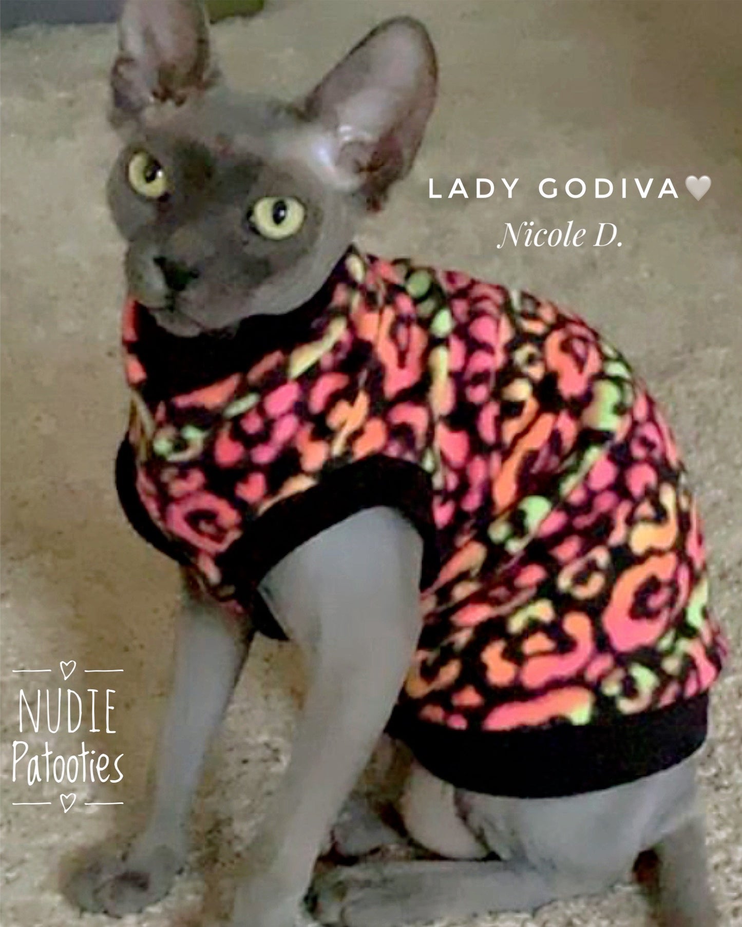 Sphynx cat and kitten shirt.  Sphynx cat clothes.
