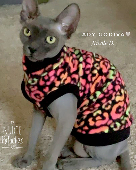 Sphynx cat and kitten shirt.  Sphynx cat clothes.