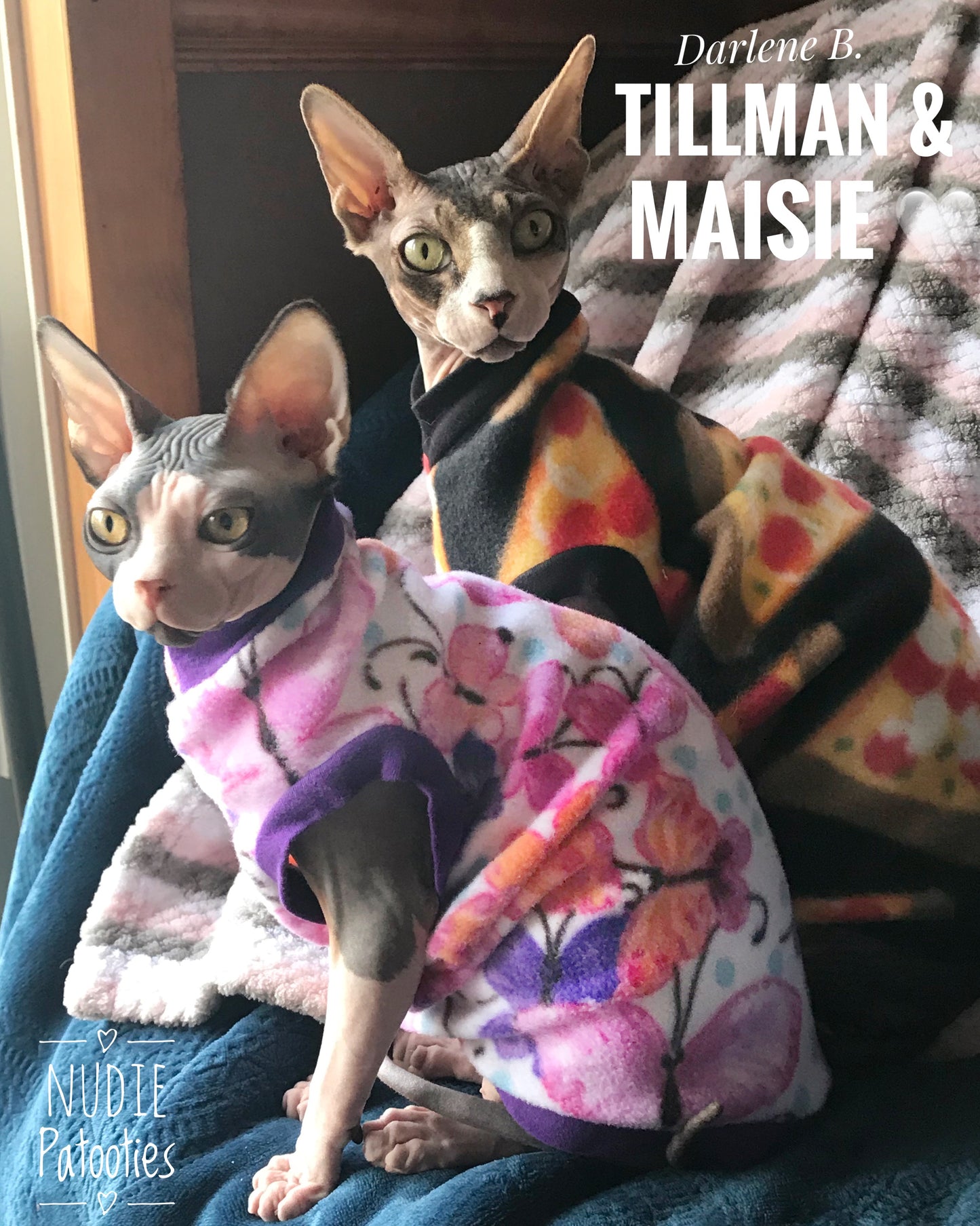 Sphynx cat clothes, shirts and sweaters. 