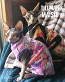 Sphynx cat clothes, shirts and sweaters. 