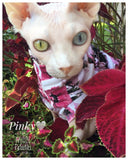 odd eye sphynx cat/ Sphynx Cat Fleece Clothes / clothes for cats/ cat overalls /cat shirt/ cat sweater/ cat sweatshirt/ pet sweater/ Sphynx cat clothes/ Sphynx clothing / cats clothes/ shirt for cat/ cat clothes/ tattoo/ skull/ designer cat clothes/ cat pjs/best sphynx clothes 