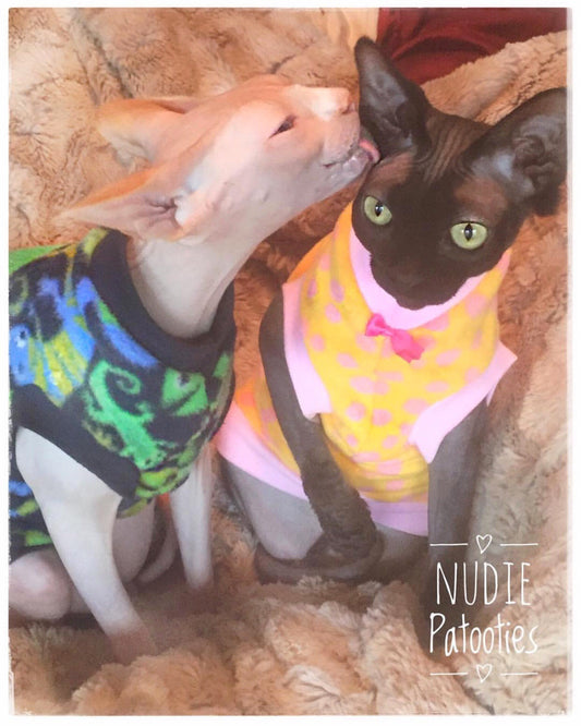 Sphynx cat and kitten shirt.  Sphynx cat clothes.