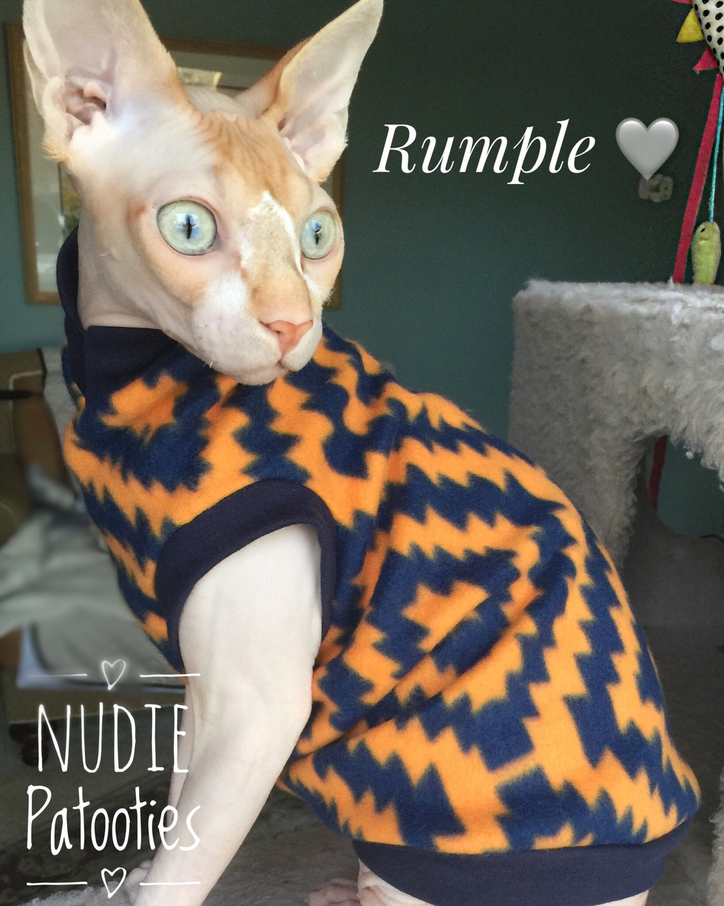Nudie Patooties Fleece shirt for your sphynx cat, sphynx kitten, Donskoy, Bambino Cat, cornish rex, peterbald and devon rex cat.  Sphynx cat clothes, shirts and sweaters.     